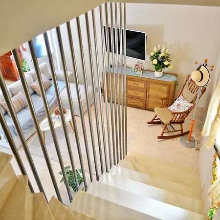 Zambaka * קאליתיאס